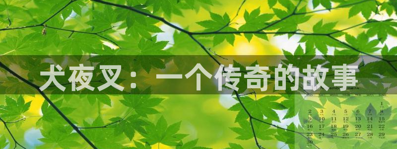 动漫禁漫天堂