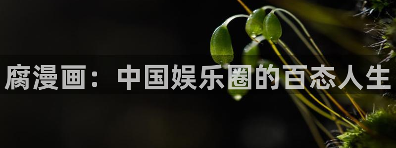 禁漫18禁