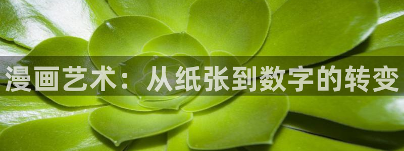 五一禁漫