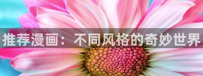 禁漫天堂火影