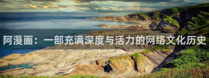 为什么禁漫天堂打不开