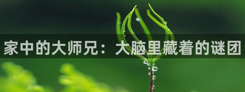 禁漫天堂官网在线看网址