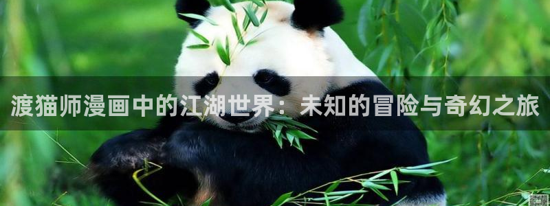 为什么禁漫天堂的图片怎么都刷新不出来：渡猫师漫画中的江湖世界：未知的冒险与奇幻之旅