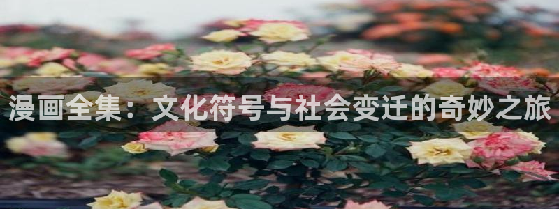 禁漫天堂漫画网址：漫画全集：文化符号与社会变迁的奇妙之旅