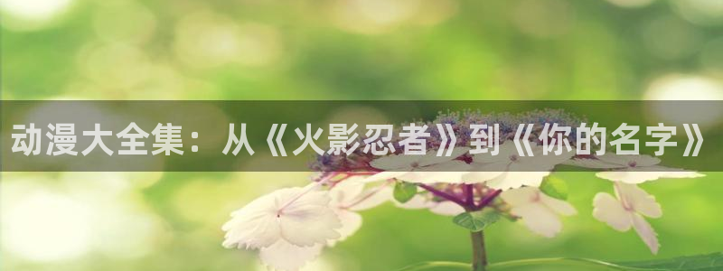 禁漫天堂老版：动漫大全集：从《火影忍者》到《你的名字》