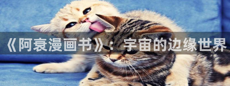 天堂禁漫网站入口