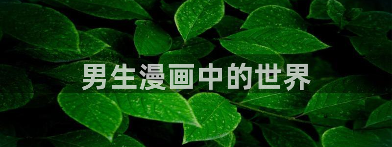 网页版禁漫天堂