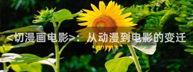 禁漫天堂下载18禁