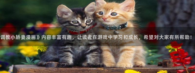 禁漫天堂.com下载网站在线观看