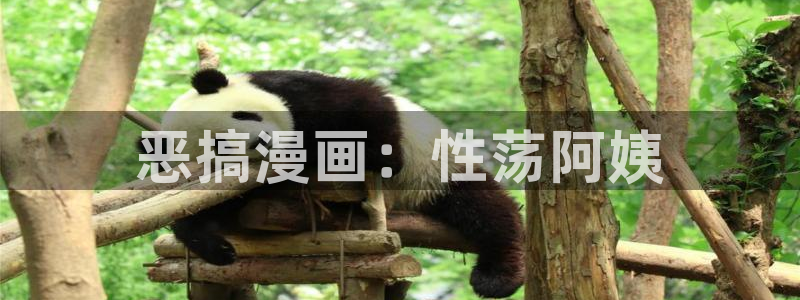 禁漫天堂,软件
