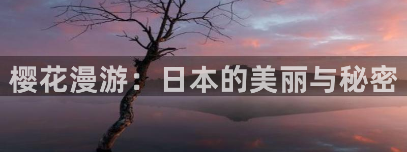 禁漫天堂怎么打开