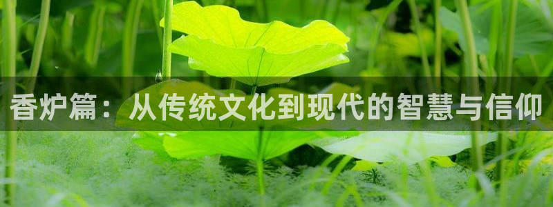 禁漫天堂哪里下