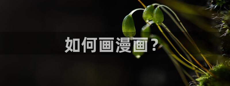 禁漫天堂主页