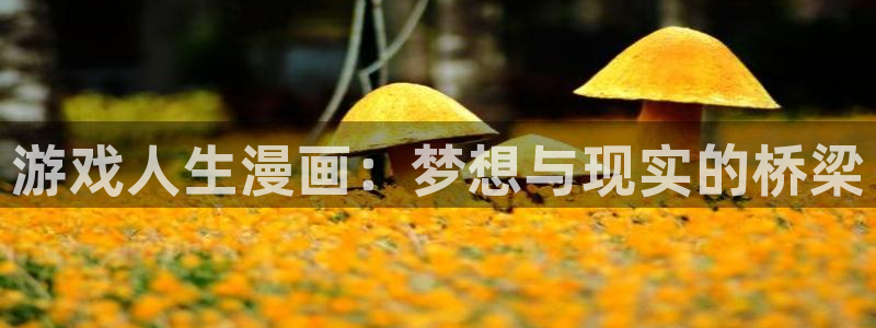 禁漫天堂在哪里