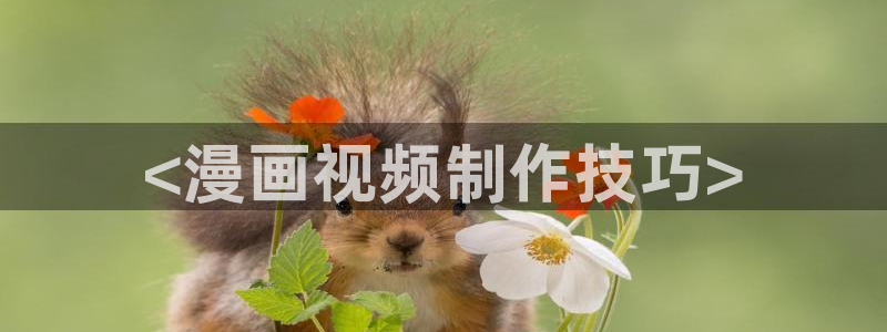 禁漫天堂为什么不能用了