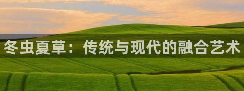禁漫天堂aqq：冬虫夏草：传统与现代的融合艺术