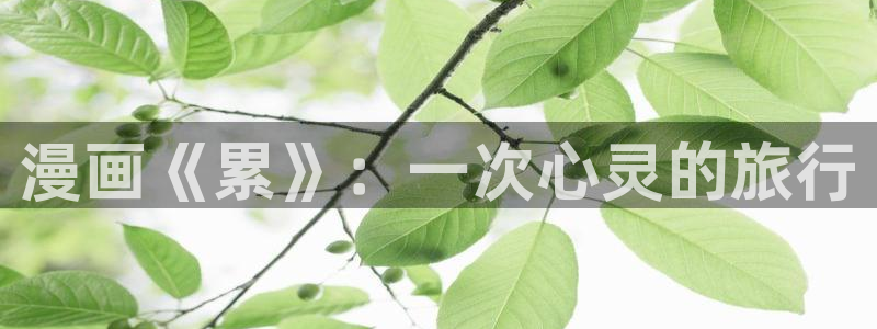 禁漫天堂的下载方式
