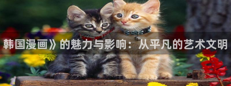 禁漫天堂wwww