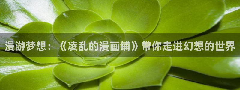 天堂禁漫网址
