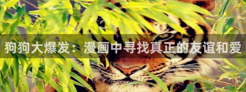 禁漫天堂韩