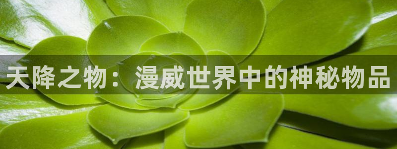 app禁漫天堂