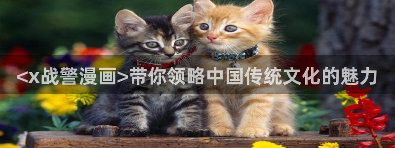 禁漫天堂叫什么