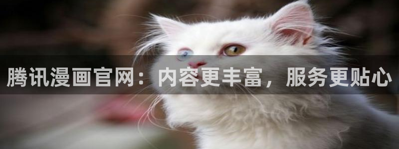 9.1.禁漫天堂