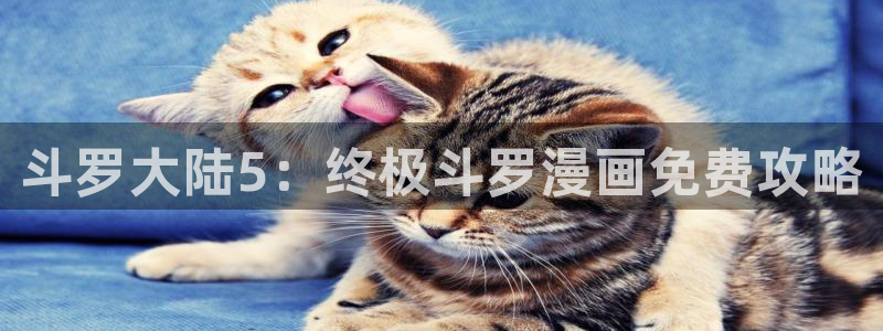 禁漫天堂未删减版
